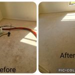 Carpet cleaning Aspley