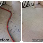 carpet cleaning Aspley