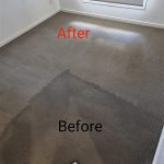 Carpet cleaning South Brisbane