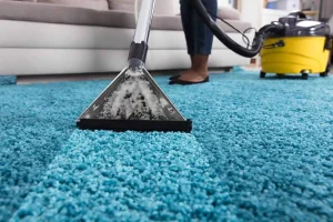 Carpet Cleaner in Brisbane